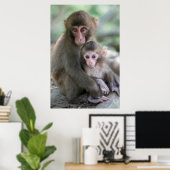 Poster Animaux de bébés cutest | Singes japonais (Bureau à domicile)