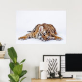 Poster Animaux de bébés cutest | Sleepy Baby Tiger Cub (Bureau à domicile)