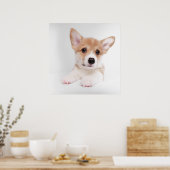 Poster Animaux de bébés cutest | Sweet Baby Corgi (Cuisine)