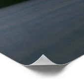 Poster Animaux de bébés cutest | Tête de chat gris Tabby (Coin)