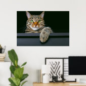 Poster Animaux de bébés cutest | Tête de chat gris Tabby (Bureau à domicile)