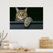 Poster Animaux de bébés cutest | Tête de chat gris Tabby (Cuisine)