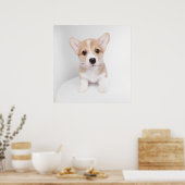 Poster Animaux de bébés cutest | Tiny Corgi (Cuisine)