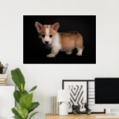 Poster Animaux de bébés cutest | Tiny Corgi (Bureau à domicile)