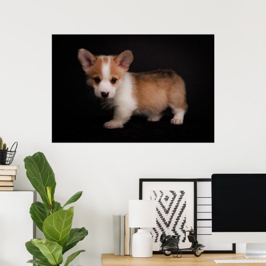 Poster Animaux de bébés cutest | Tiny Corgi (Bureau à domicile)