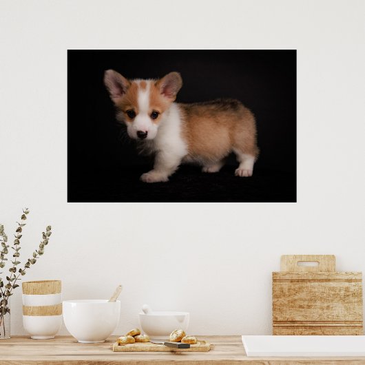 Poster Animaux de bébés cutest | Tiny Corgi (Cuisine)