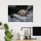 Poster Animaux de bébés cutest | Tiny Kitten Dormir (Bureau à domicile)