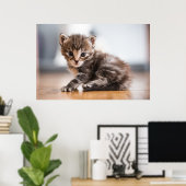 Poster Animaux de bébés cutest | Tiny Tabby Kitten (Bureau à domicile)