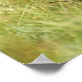 Poster Animaux de bébés cutest | Trois chimpanzés en trai (Coin)