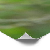 Poster Animaux de bébés cutest | Trois jeunes petits ours (Coin)