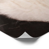 Poster Animaux de bébés cutest | Un mignon seau de chiots (Coin)