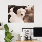 Poster Animaux de bébés cutest | Un mignon seau de chiots (Bureau à domicile)