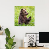 Poster Animaux de bébés cutest | Vague d'ours Brown (Bureau à domicile)
