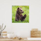 Poster Animaux de bébés cutest | Vague d'ours Brown (Cuisine)