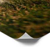 Poster Animaux de bébés cutest | West Highland White Terr (Coin)