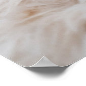 Poster Animaux de bébés cutest | Yorkshire Terrier (Coin)