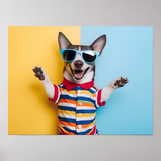 Poster Animaux de compagnie dans des lunettes de soleil é (Devant)