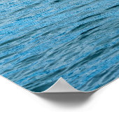 Poster Animaux de compagnie et autres animaux - nageoire  (Coin)