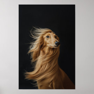 Poster Animaux de compagnie Salon Boutique Afgan Hound Po