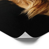 Poster Animaux de compagnie Salon Boutique Afgan Hound Po (Coin)