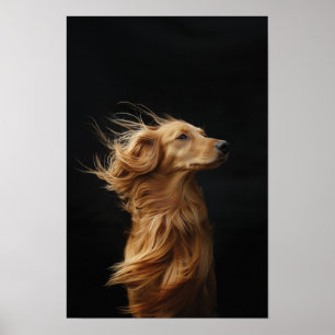 Poster Animaux de compagnie Salon Boutique Afgan Hound Po