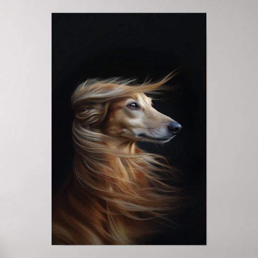 Poster Animaux de compagnie Salon Boutique Afgan Hound Po (Devant)