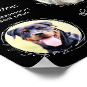 Poster Animaux de compagnie Signature Boissons Custom 3 P (Coin)