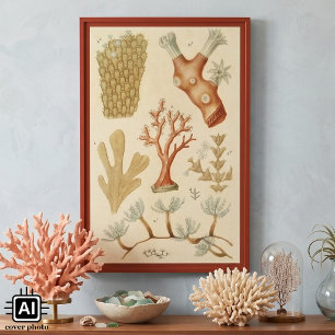 Poster Animaux de corail vintage, manuel de biologie scie