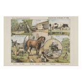 Poster Animaux de ferme Vintage néerlandais (Devant)