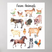 Poster Animaux de la Ferme | Éducation Apprentissage Sall (Devant)
