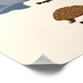 Poster Animaux de l'Australie faune australienne (Coin)