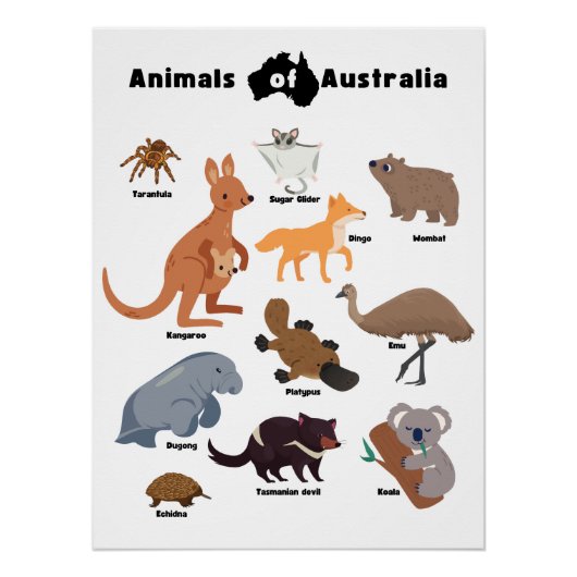 Poster Animaux de l'Australie faune australienne (Devant)