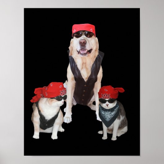 Poster Animaux de moto amusants (Devant)