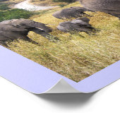 Poster Animaux de Tanzanie Afrique (Coin)