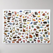 Poster Animaux éducatifs (Devant)