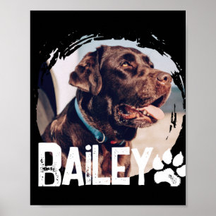 Poster Animaux familiers Simple Moderne Cool Nge Nom Et P