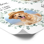 Poster Animaux Mariages Barre de chien 3 Photo Signature  (Coin)