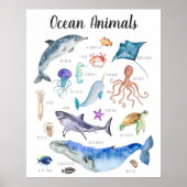 Poster Animaux marins | Formation en classe (Devant)