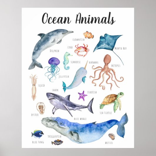 Poster Animaux marins | Formation en classe (Devant)