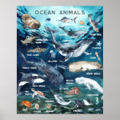 Poster Animaux marins | Formation en classe (Devant)
