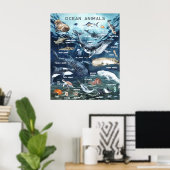 Poster Animaux marins | Formation en classe (Bureau à domicile)
