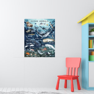 Poster Animaux marins   Formation en classe