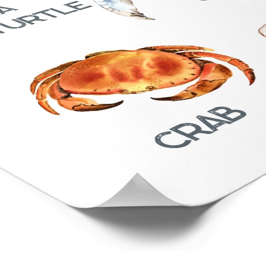 Poster Animaux marins | Formation en classe (Coin)