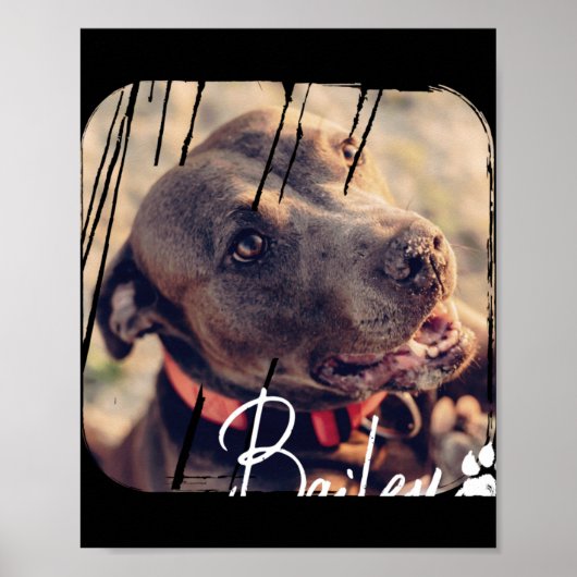 Poster Animaux Moderne Simple Cool Nge Nom Et Photo (Devant)