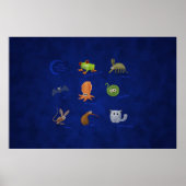 Poster Animaux nocturnes (Devant)