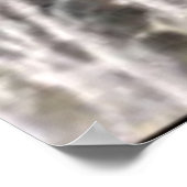 Poster Animaux sauvages 6 baleines à queue (Coin)