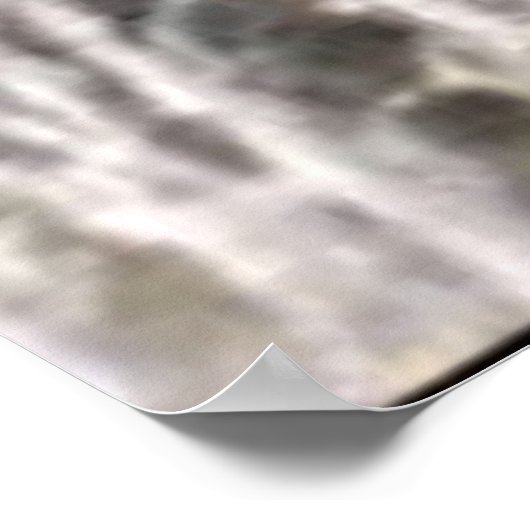 Poster Animaux sauvages 6 baleines à queue (Coin)