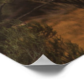 POSTER ANIMAUX SAUVAGES RHINO (Coin)