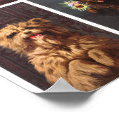 Poster Animaux vintages (Coin)