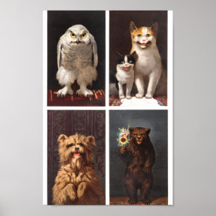 Poster Animaux Vintages